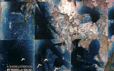 Little Bird: A UP Cebu Fine Arts – Studio Arts Thesis Exhibition by Maria Isabella Rubeanne Salas
